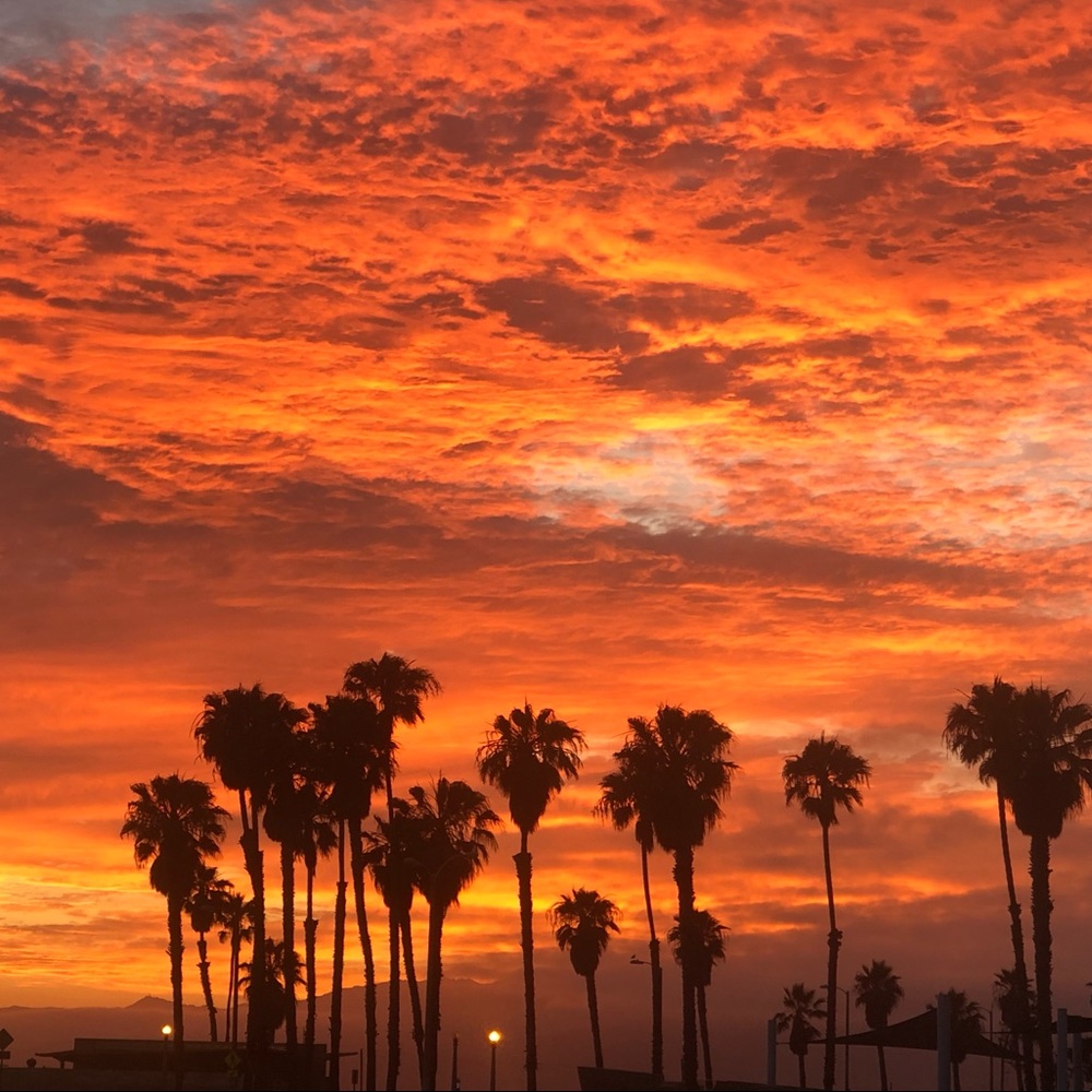 Meet your Posher, Feng